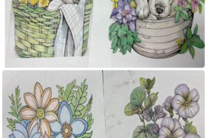 2025.11.13・お知らせ（写真）うつのみやファミリー駒生Ⅱ1