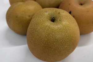 2025.09.24・お知らせ（写真）うつのみやファミリー駒生Ⅱ1